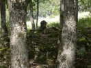 Shooter s War (10).JPG